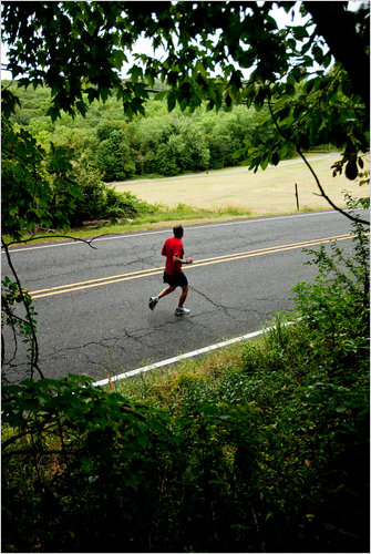 Slow Run (via NYTimes)